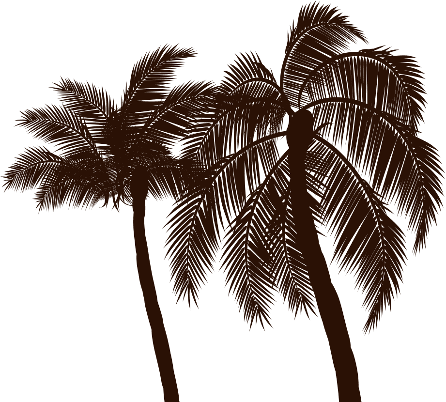 Palm tree illustration